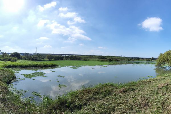 柯子湖溼地